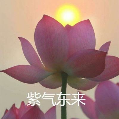oppo逍遥八仙手游下载